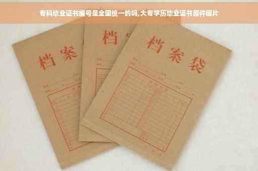 专科毕业证书编号是全国统一的吗,大专学历毕业证书原件图片