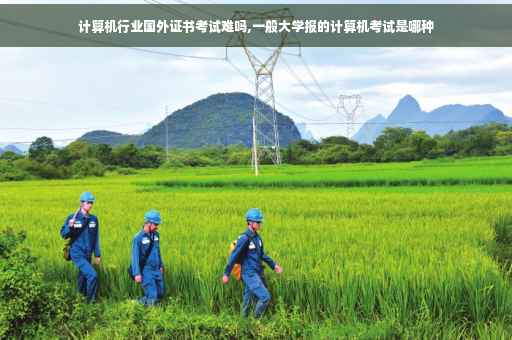 计算机行业国外证书考试难吗,一般大学报的计算机考试是哪种