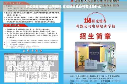 什么是驾驶证的证芯编码,驾驶证毕业证书名称是什么