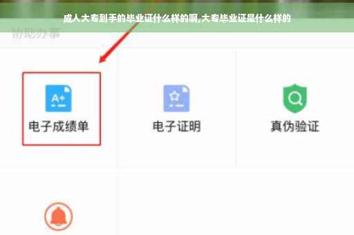 成人大专到手的毕业证什么样的啊,大专毕业证是什么样的