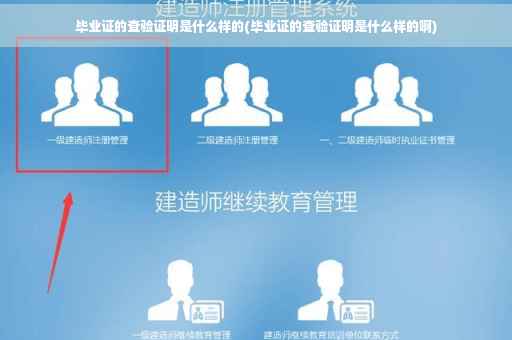 毕业证的查验证明是什么样的(毕业证的查验证明是什么样的啊)