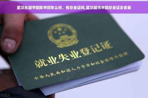 武汉东湖学院助学班怎么样，有毕业证吗,武汉城市学院毕业证含金量