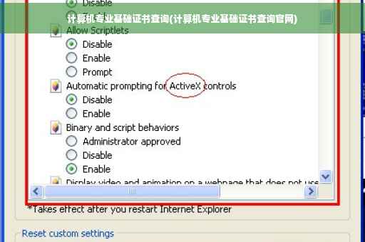 计算机专业基础证书查询(计算机专业基础证书查询官网)