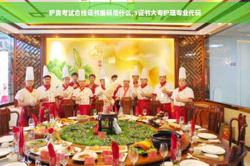 护资考试合格证书编码是什么,3证书大专护理专业代码