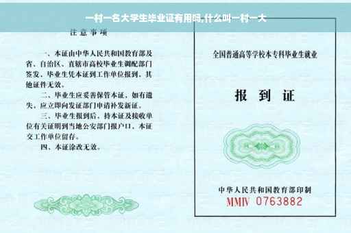 一村一名大学生毕业证有用吗,什么叫一村一大