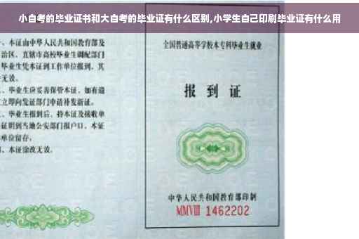 小自考的毕业证书和大自考的毕业证有什么区别,小学生自己印刷毕业证有什么用