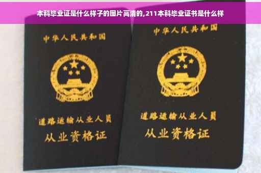 本科毕业证是什么样子的图片高清的,211本科毕业证书是什么样