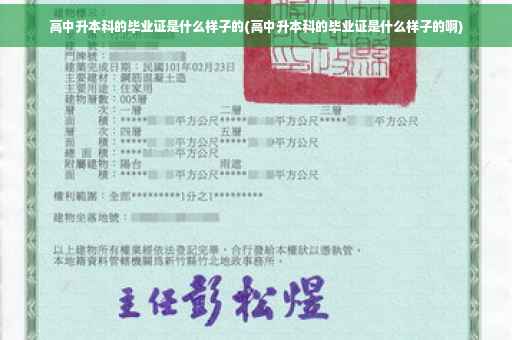 高中升本科的毕业证是什么样子的(高中升本科的毕业证是什么样子的啊)