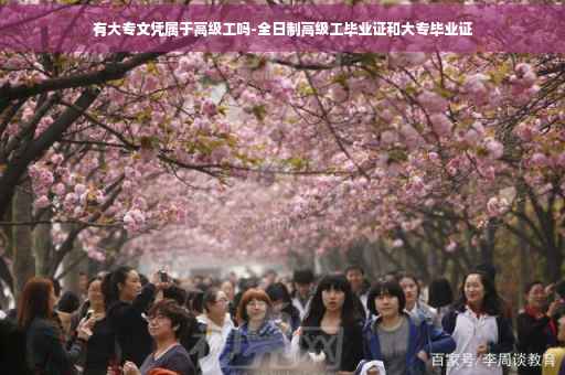 有大专文凭属于高级工吗-全日制高级工毕业证和大专毕业证