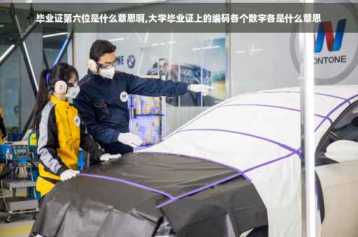 毕业证第六位是什么意思啊,大学毕业证上的编码各个数字各是什么意思