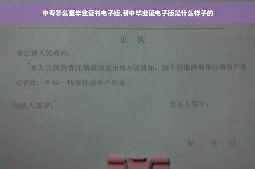 中专怎么查毕业证书电子版,初中毕业证电子版是什么样子的