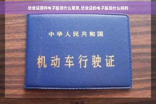 毕业证原件电子版是什么意思,毕业证的电子版是什么样的
