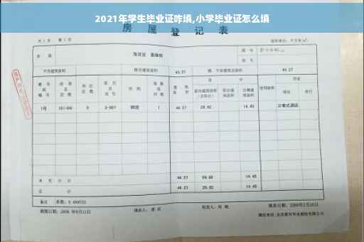 2021年学生毕业证咋填,小学毕业证怎么填