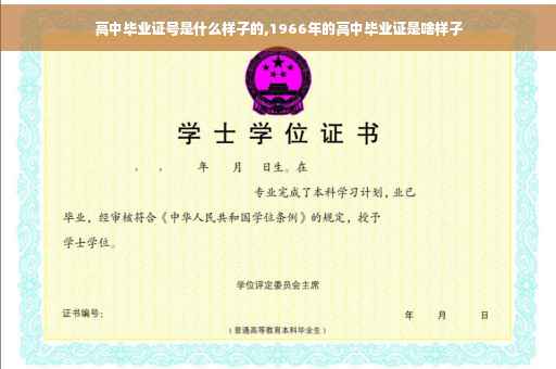 高中毕业证号是什么样子的,1966年的高中毕业证是啥样子