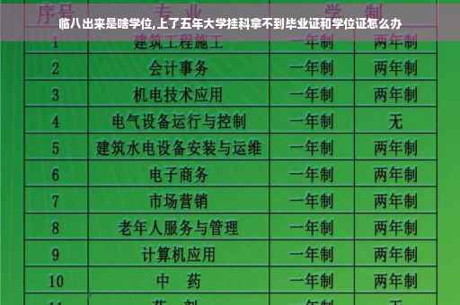 临八出来是啥学位,上了五年大学挂科拿不到毕业证和学位证怎么办