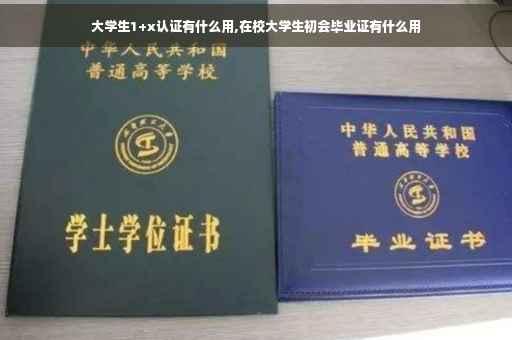 大学生1+x认证有什么用,在校大学生初会毕业证有什么用
