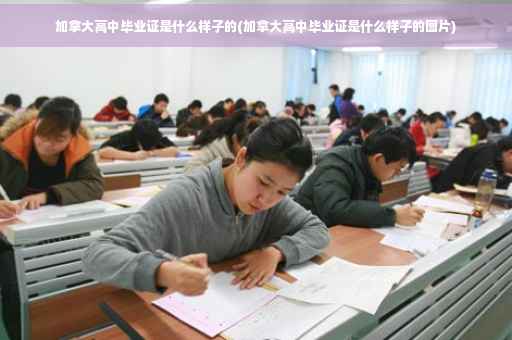加拿大高中毕业证是什么样子的(加拿大高中毕业证是什么样子的图片)
