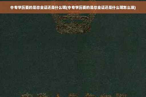 中专学历要的是毕业证还是什么呢(中专学历要的是毕业证还是什么呢怎么填)