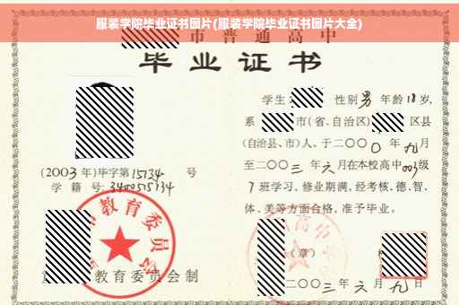 服装学院毕业证书图片(服装学院毕业证书图片大全)