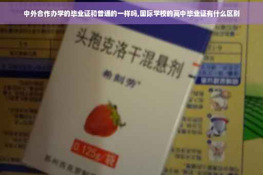 中外合作办学的毕业证和普通的一样吗,国际学校的高中毕业证有什么区别