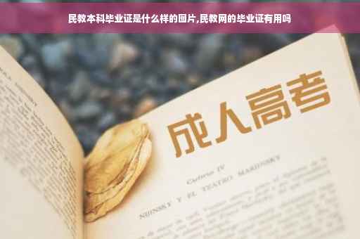 民教本科毕业证是什么样的图片,民教网的毕业证有用吗