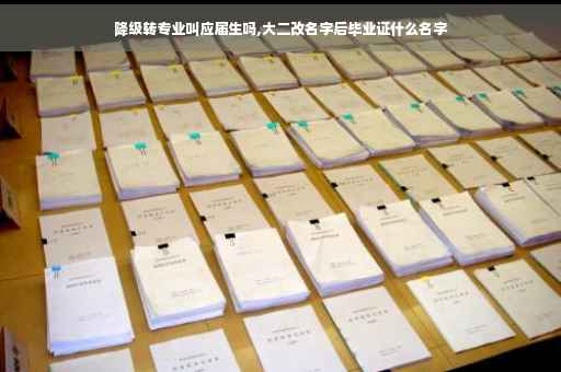降级转专业叫应届生吗,大二改名字后毕业证什么名字