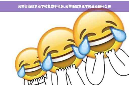 云南省曲靖农业学校能带手机吗,云南曲靖农业学校毕业证什么样