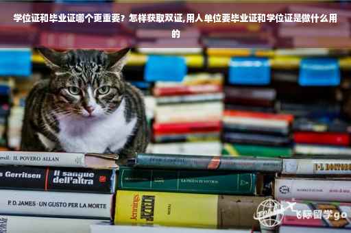 学位证和毕业证哪个更重要？怎样获取双证,用人单位要毕业证和学位证是做什么用的