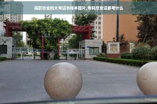 高职毕业的大专证书样本图片,专科毕业证都考什么