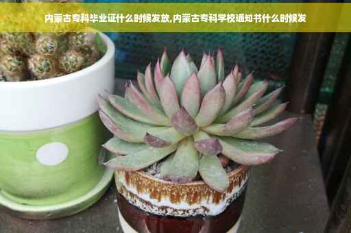 内蒙古专科毕业证什么时候发放,内蒙古专科学校通知书什么时候发