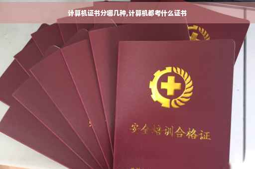 计算机证书分哪几种,计算机都考什么证书 计算机证书分哪几种,计算机都考什么证书