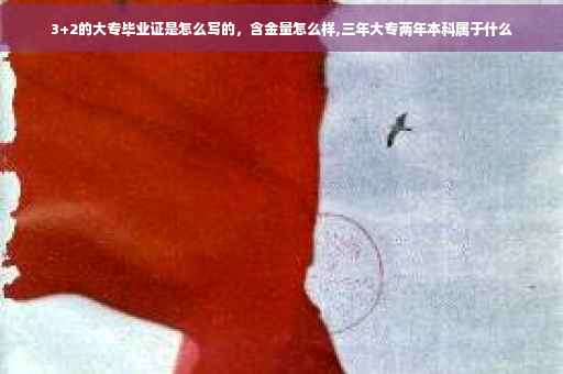3+2的大专毕业证是怎么写的，含金量怎么样,三年大专两年本科属于什么