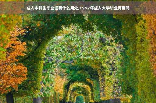 成人本科生毕业证有什么用处,1997年成人大学毕业有用吗