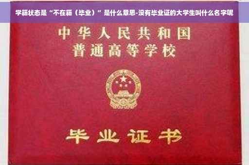 学籍状态是“不在籍（毕业）”是什么意思-没有毕业证的大学生叫什么名字呢