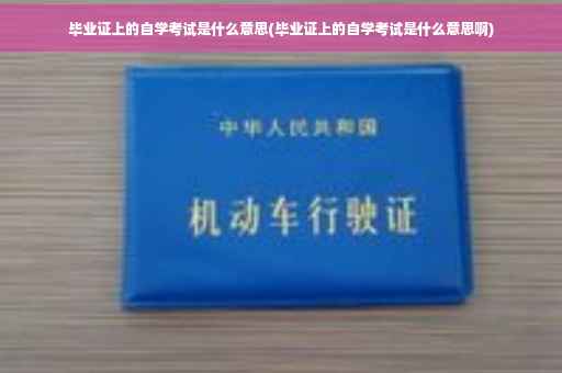 毕业证上的自学考试是什么意思(毕业证上的自学考试是什么意思啊)