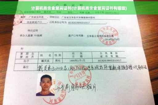 计算机类含金量高证书(计算机类含金量高证书有哪些)