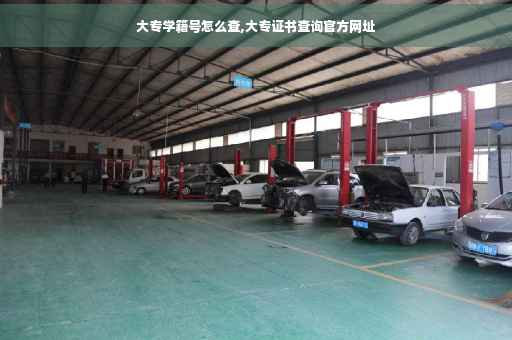 大专学籍号怎么查,大专证书查询官方网址