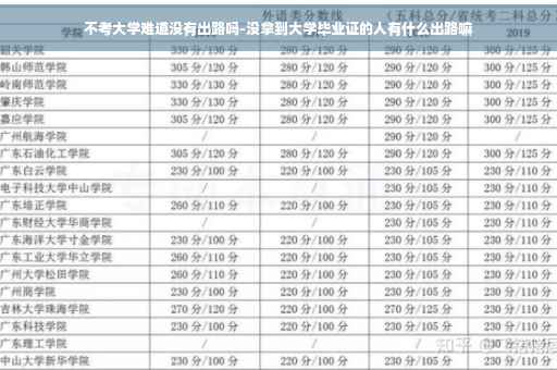 不考大学难道没有出路吗-没拿到大学毕业证的人有什么出路嘛