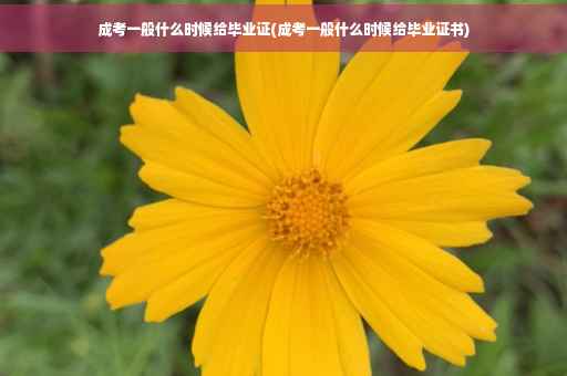 成考一般什么时候给毕业证(成考一般什么时候给毕业证书)