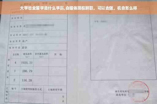 大学毕业留学是什么学历,自媒体现在辞职，可以去做，机会怎么样