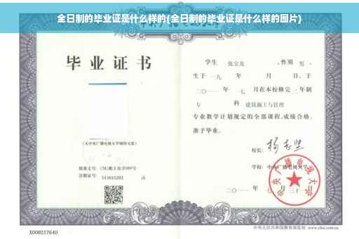 全日制的毕业证是什么样的(全日制的毕业证是什么样的图片)