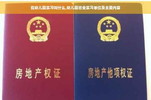 在幼儿园实习叫什么,幼儿园毕业实习单位及主要内容