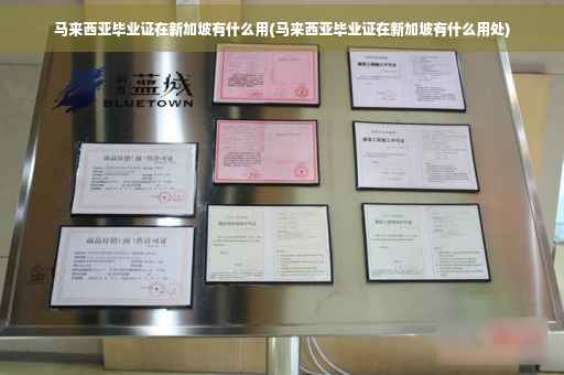 马来西亚毕业证在新加坡有什么用(马来西亚毕业证在新加坡有什么用处)