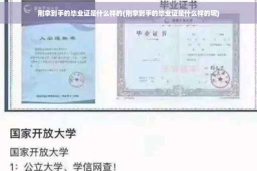 刚拿到手的毕业证是什么样的(刚拿到手的毕业证是什么样的呢)