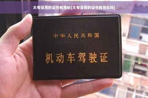 大专没用的证书有用处(大专没用的证书有用处吗)