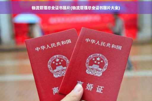 物流管理毕业证书图片(物流管理毕业证书图片大全)