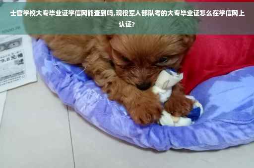 士官学校大专毕业证学信网能查到吗,现役军人部队考的大专毕业证怎么在学信网上认证?
