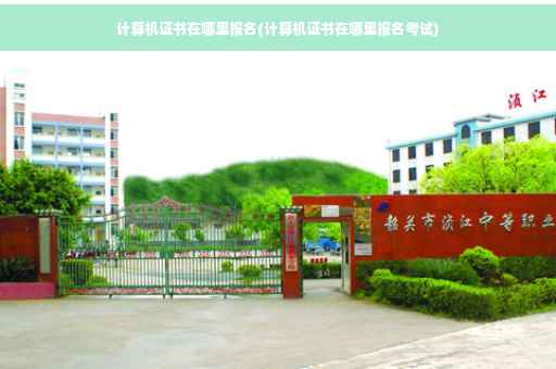 计算机证书在哪里报名(计算机证书在哪里报名考试)