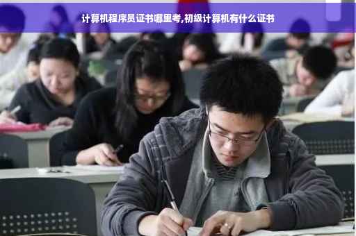 计算机程序员证书哪里考,初级计算机有什么证书