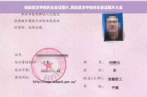 劳动经济学校的毕业证图片,劳动经济学校的毕业证图片大全